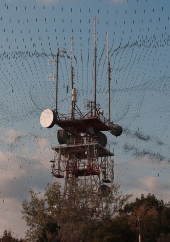 Prisons Without Bars