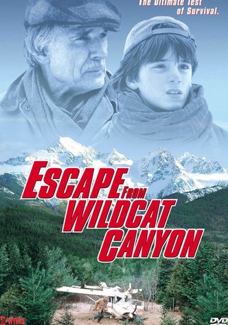 Escape from Wildcat Canyon