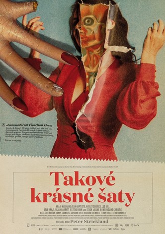 Takové krásné šaty