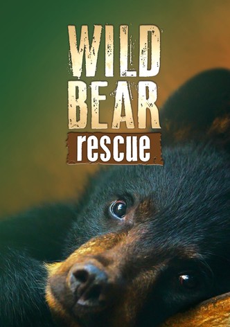 Wild Bear Rescue