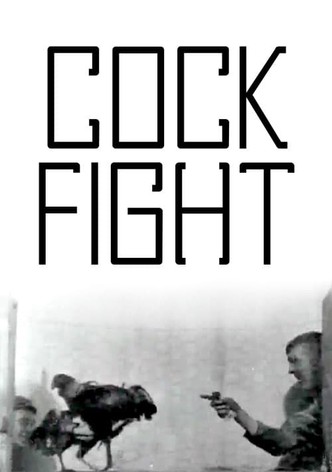 Cock Fight