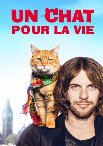 Un chat pour la vie