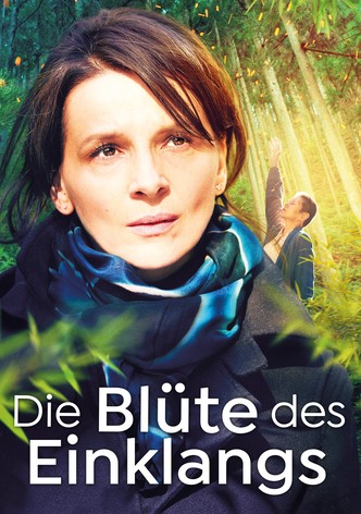 Die Blüte des Einklangs