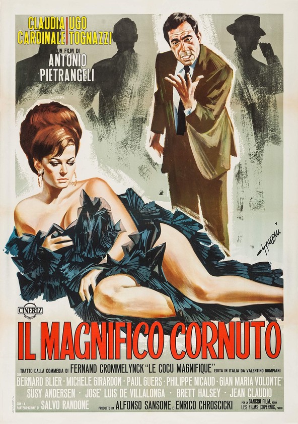 Poster Bella signora con i capelli magnifico 