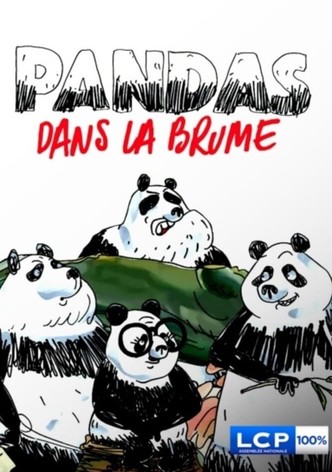 Pandas dans la brume