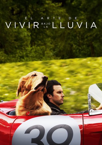 El arte de vivir bajo la lluvia