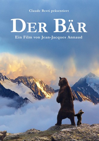 Der Bär