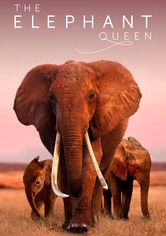 A Rainha Elefante