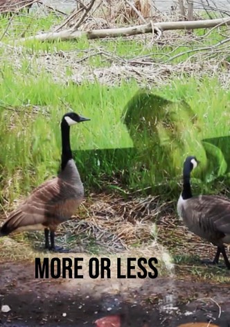 More or Less