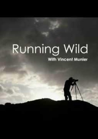 Running Wild with Vincent Munier