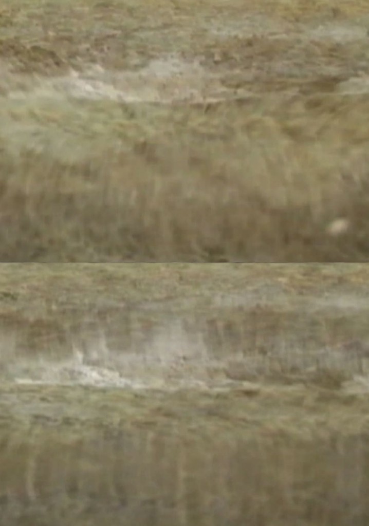 Le Jour où la Terre s'éveilla