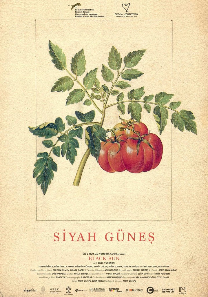 Siyah Güneş