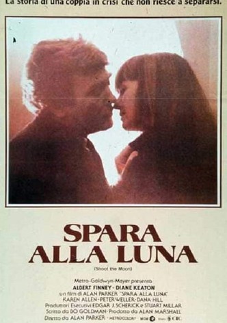 Spara alla luna