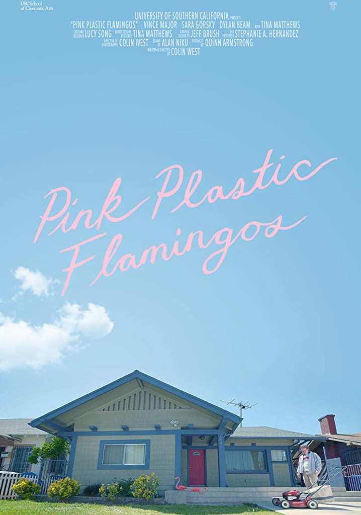 Pink Plastic Flamingos
