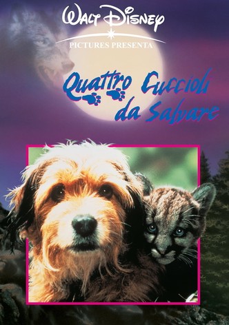 4 cuccioli da salvare