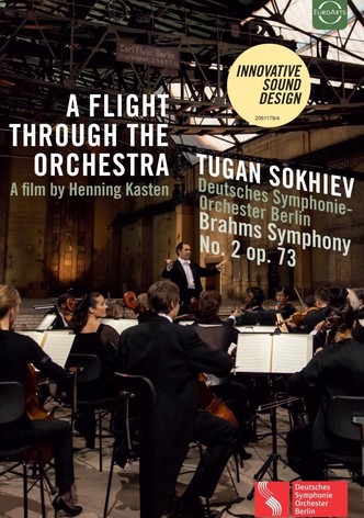 A Flight Through the Orchestra