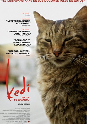 Kedi (Gatos de Estambul)