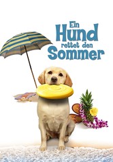 Ein Hund rettet den Sommer
