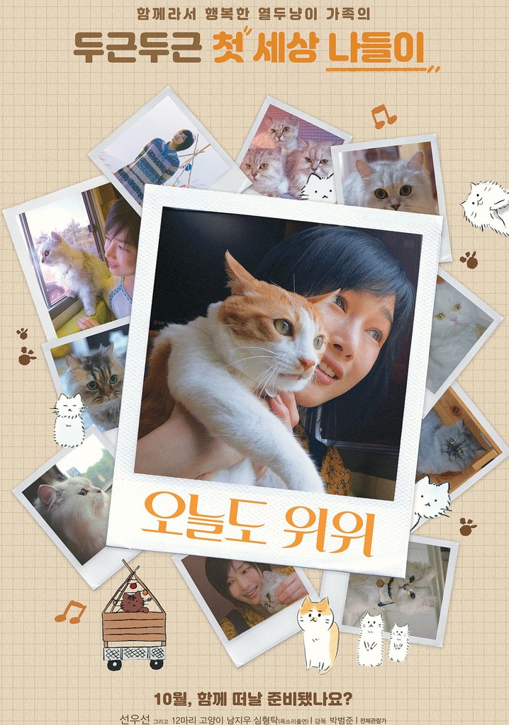 The Journey of the 12 Cats