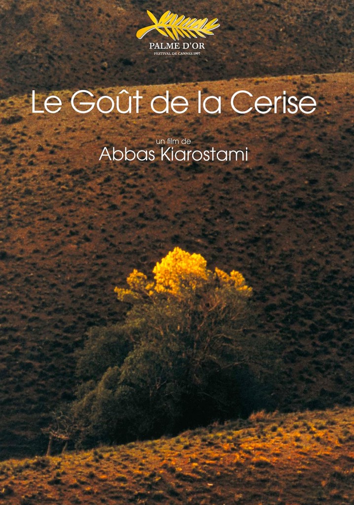 Regarder Le goût de la cerise en streaming complet
