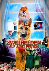 Zwei Helden auf acht Pfoten