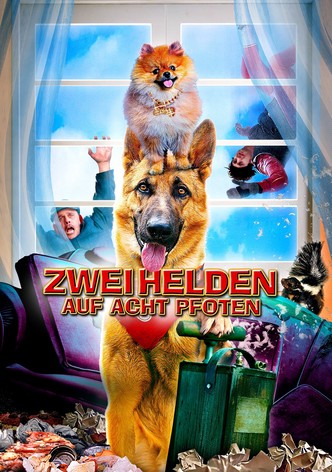 Zwei Helden auf acht Pfoten