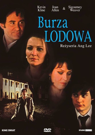 Burza lodowa