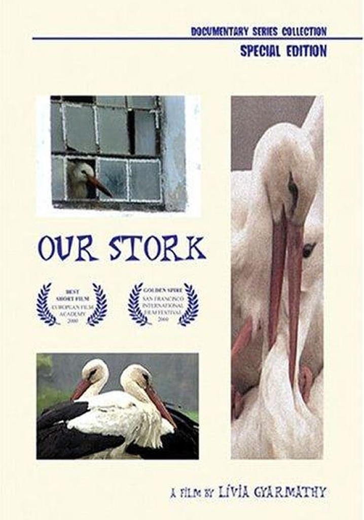 Our Stork