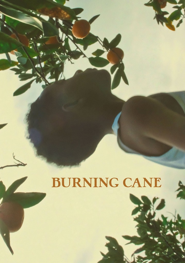 Burning Cane