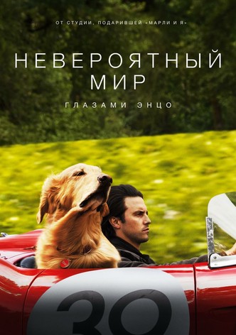 Невероятный мир глазами Энцо