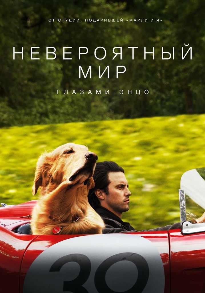 Невероятный мир глазами Энцо - где смотреть онлайн