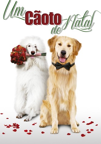 Um Casamento de Natal