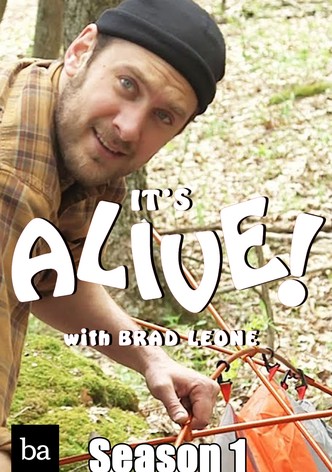 It's Alive with Brad