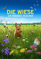 Die Wiese - Ein Paradies nebenan