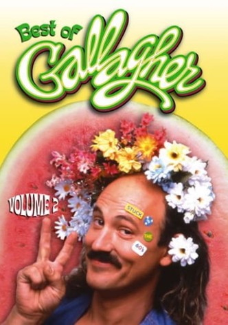 Best of Gallagher: Volume 2