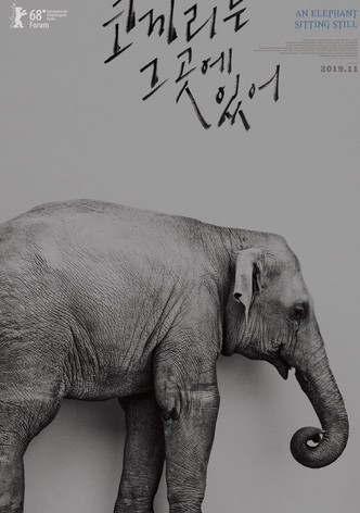 코끼리는 그곳에 있어