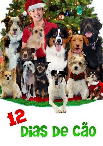 12 Dias de Cão