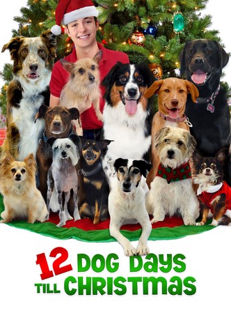 12 Dog Days Till Christmas