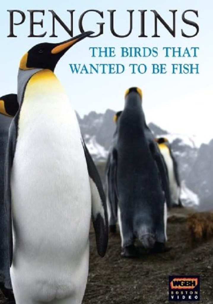 Penguins: The Story of the Bird that wanted to be Fish