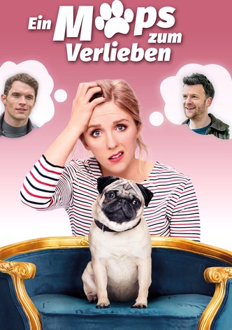 Ein Mops zum Verlieben