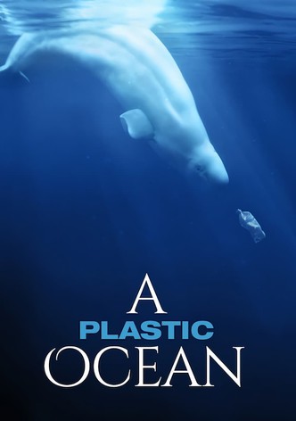 Un océano de plástico
