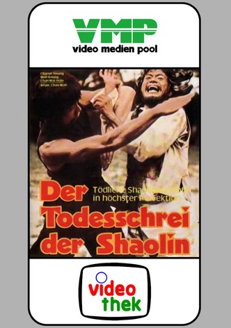 Mysterious Footworks of Kung Fu