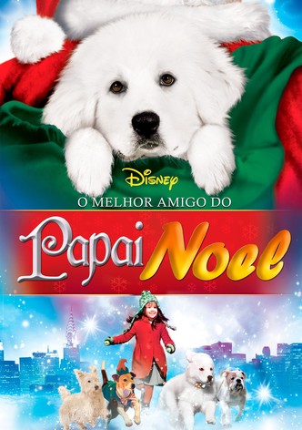 À Procura do Patas Natal