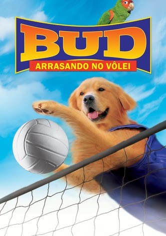 Air Bud: Spikes Back