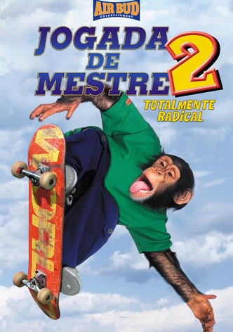 Jogada de Mestre 2: Totalmente Radical