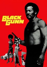 O Justiceiro Negro