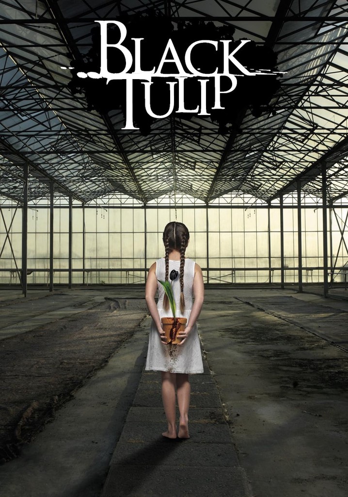Black Tulip - watch tv show streaming online