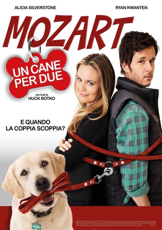 Mozart, un cane per due