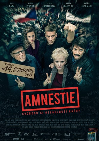 Amnestie