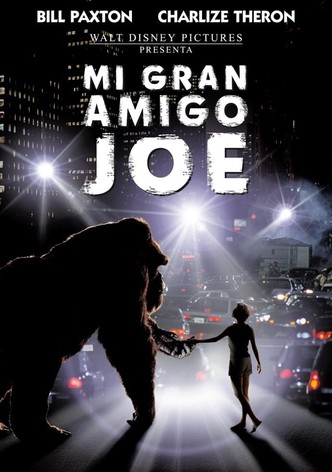 Mi gran amigo Joe